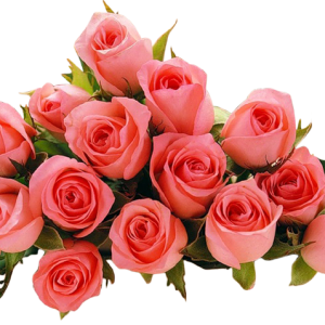 0_728f6_7049a547_XL_yapfiles.ru