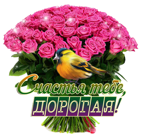 58d2231e3e18.png