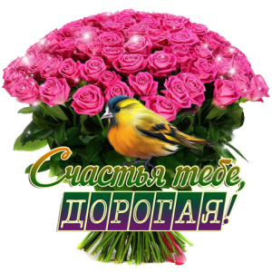 58d2231e3e18