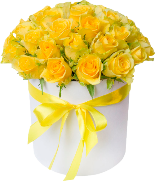 5ae9ac467b92e319272677a790b4a6fb.png