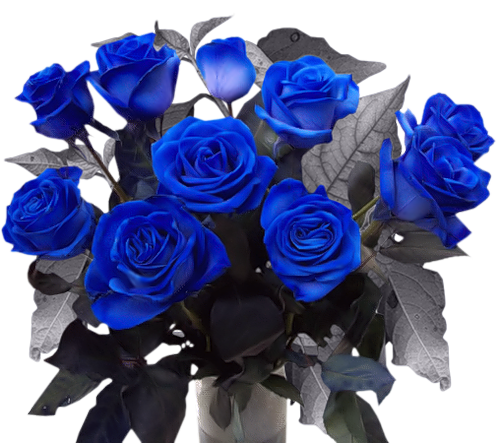 64faa38288f0.png