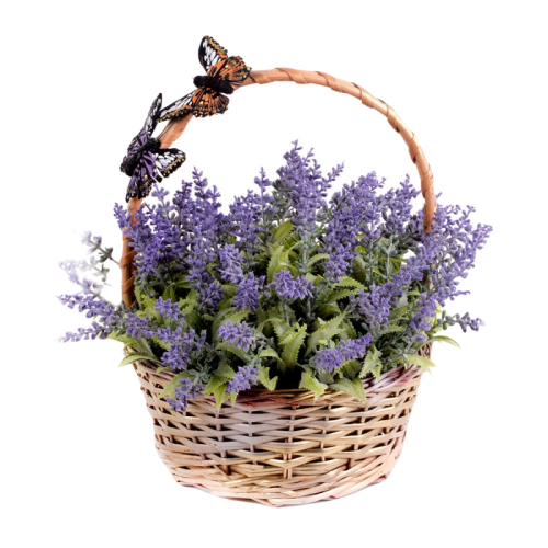 pixlr-bg-result-27.png