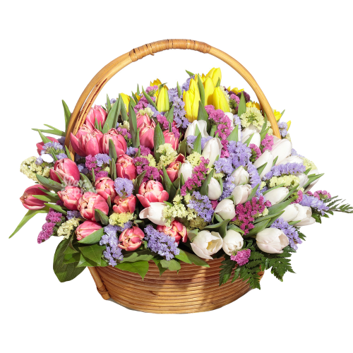 pixlr-bg-result-27158aaa99d3a41d2a.png