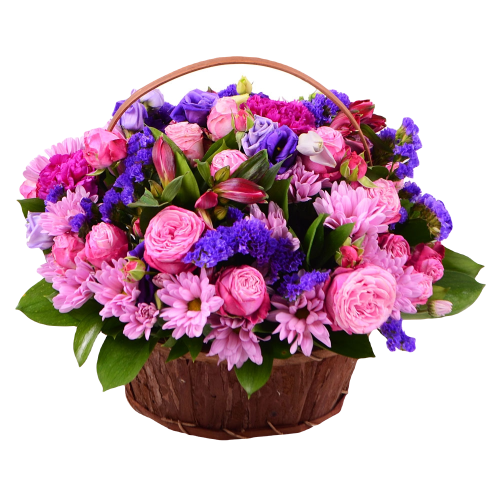 pixlr-bg-result-28.png
