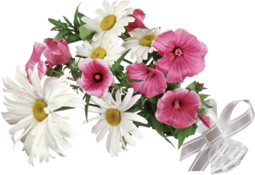 untitled_489432.png