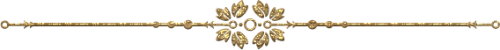viewImage.png