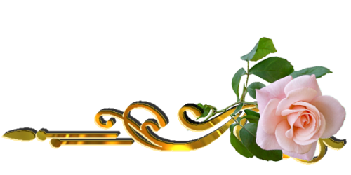 xs2388.png