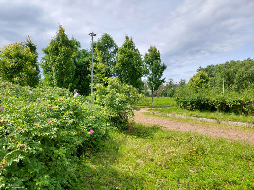 20250709_125037-KOPIY.jpg