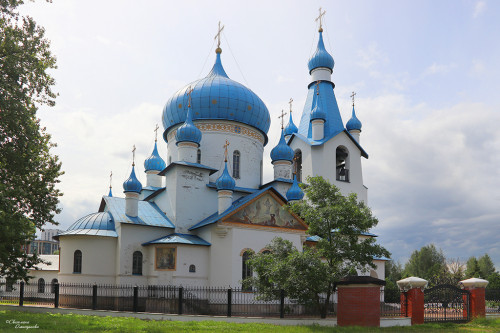 IMG_8677-KOPIY.jpg