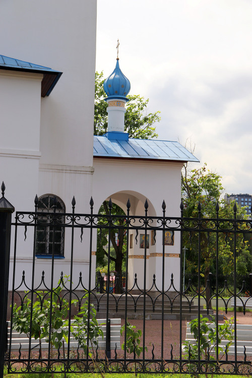IMG_8684-KOPIY.jpg