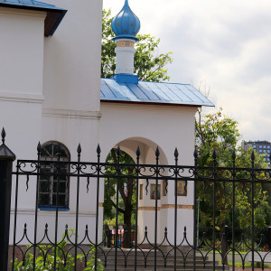 IMG_8684-KOPIY