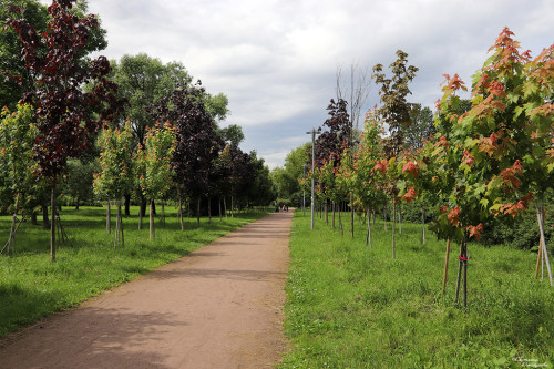 IMG_8692-KOPIY.jpg