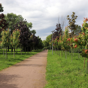 IMG_8692-KOPIY