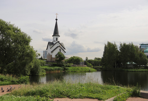 IMG_8697-KOPIY.jpg