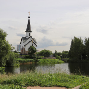 IMG_8697-KOPIY