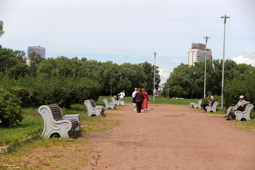 IMG_8701-KOPIY.jpg