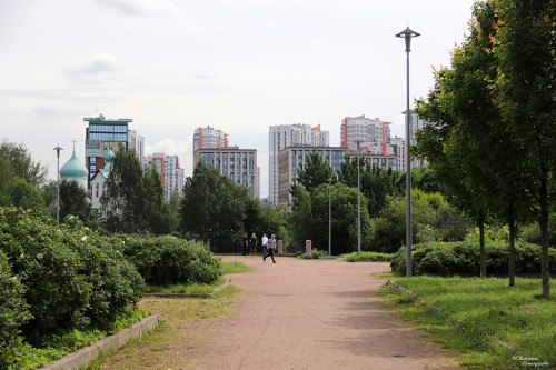 IMG_8704-KOPIY.jpg