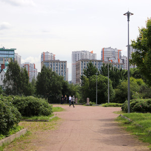 IMG_8704-KOPIY
