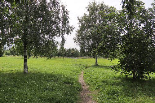 IMG_8706-KOPIY.jpg