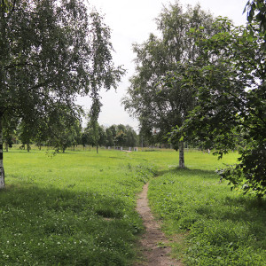 IMG_8706-KOPIY