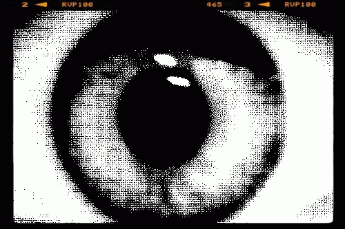 ac1c3cd335a16097a91f176e27c43e65.gif