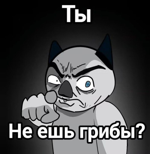 500b5a10e013e5afc976789194fb2ee5.jpg
