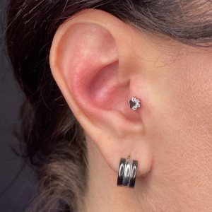 008-PROKOL-TRAGUS