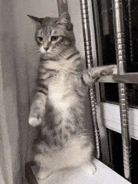 73b45d2a04c79c18e39fcc8eb16d1f41.gif