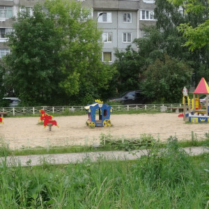 DSC08221_5