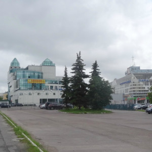 DSC08225_5
