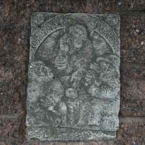 DSC08257_5