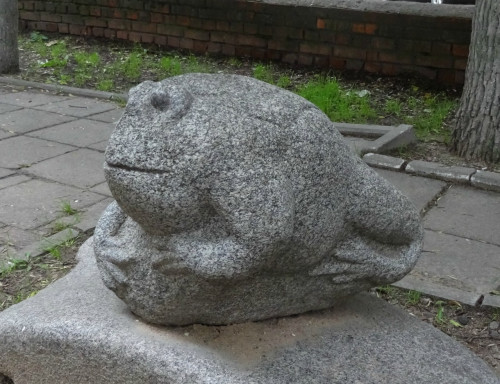 DSC08260_5.jpg