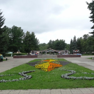 DSC08275_5