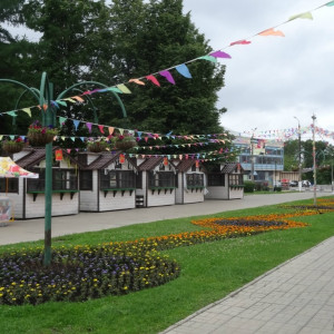 DSC08283_5