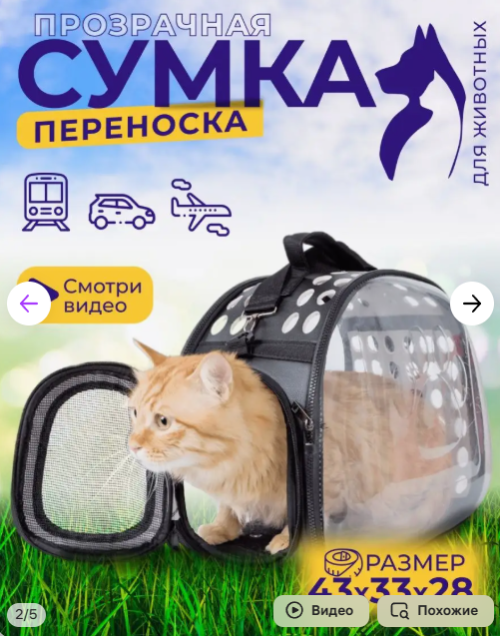 SNIMOK-EKRANA-2025-07-17-204142.png