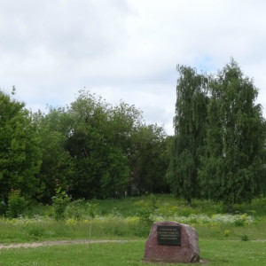 DSC08372_5