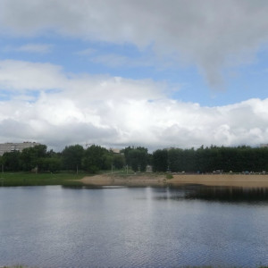 DSC08374_5