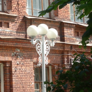 DSC08394_5