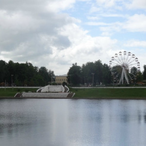 DSC08441_5