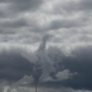 DSC08484_5