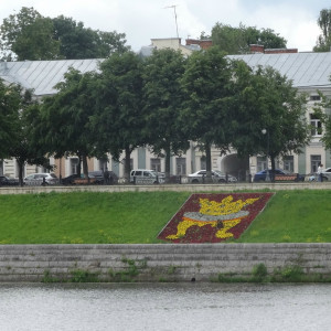DSC08490_5