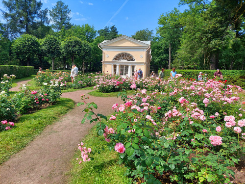20250717_125559-KOPIY.jpg