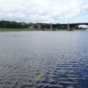 DSC08565_5