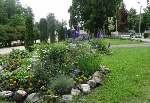 DSC08577_5.jpg