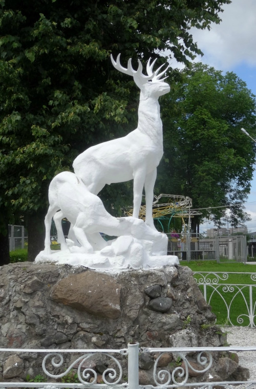 DSC08579_5.jpg