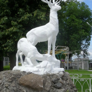 DSC08579_5