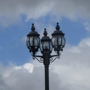 DSC08580_5
