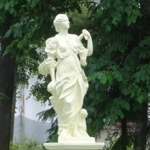 DSC08598_5