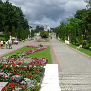 DSC08613_5