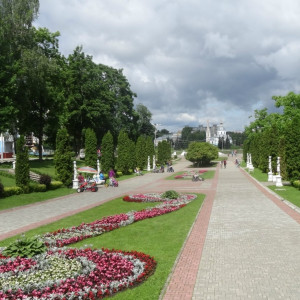 DSC08615_5
